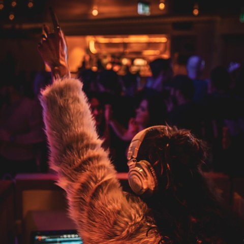 White Rabbit — Adelaide DJ