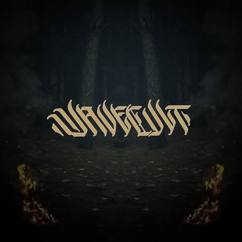 wavecult — Adelaide event promoter