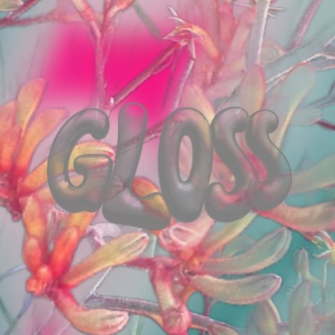 Gloss — Adelaide event promoter