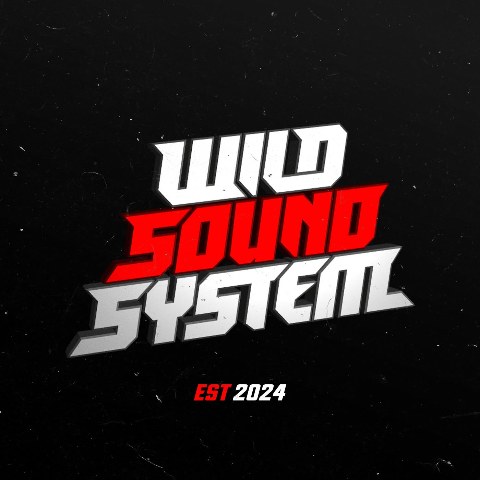 Wild Sound System — Adelaide event promoter