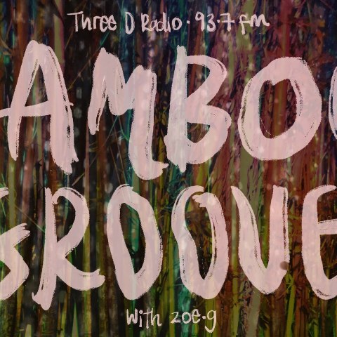 Bamboo Groove — radio show