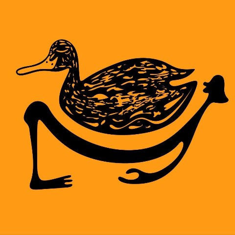 Duck! Radio — radio station