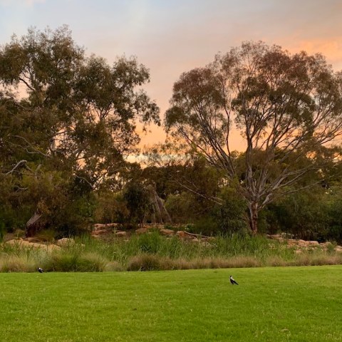 Adelaide Parklands