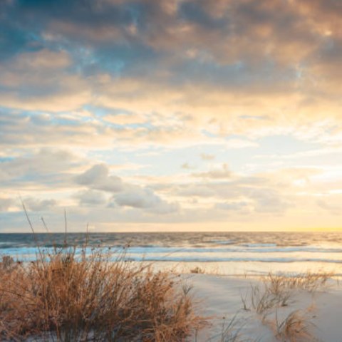 West Beach
